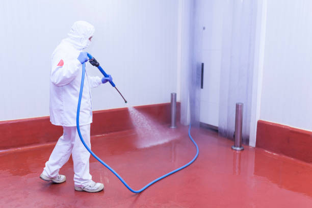 Best Restaurant Pressure Washing  in View Park Windsor Hills, CA